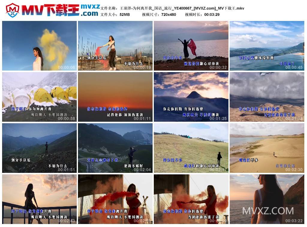 王羽泽-为何离开我_国语_流行_YE400667